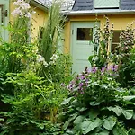 Zum Hirschstein Apartman *