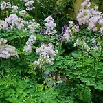 Apartman Zum Hirschstein *