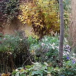 Zum Hirschstein Apartman Greiz