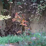 Apartman Zum Hirschstein Greiz