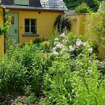 Apartment Zum Hirschstein *