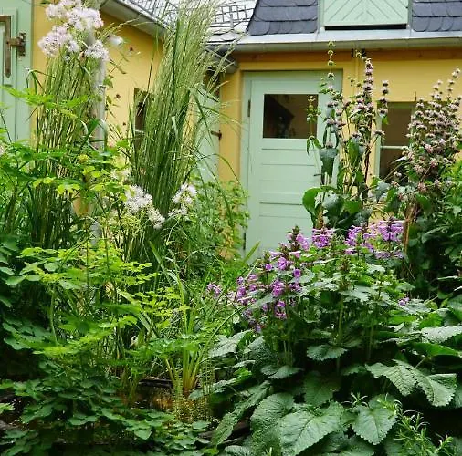 Zum Hirschstein Daire *