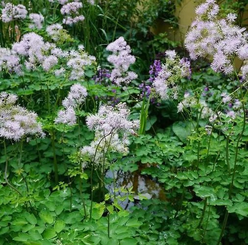 Daire Zum Hirschstein *